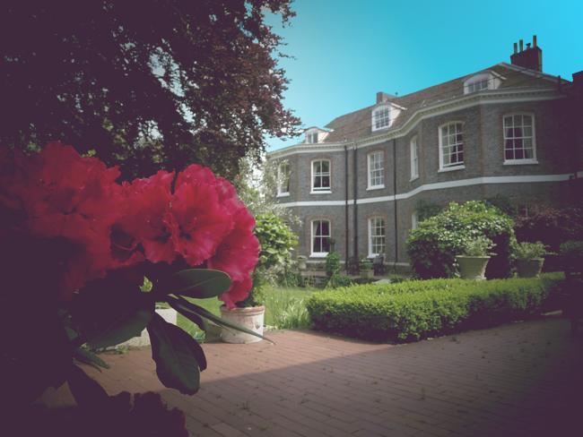 The Shelleys Hotel Lewes Zewnętrze zdjęcie